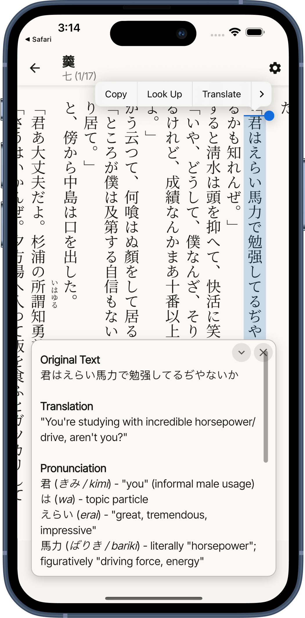 Learn a new language by reading.